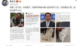 崔永元微博最新爆料,揭露娱乐圈惊天秘密